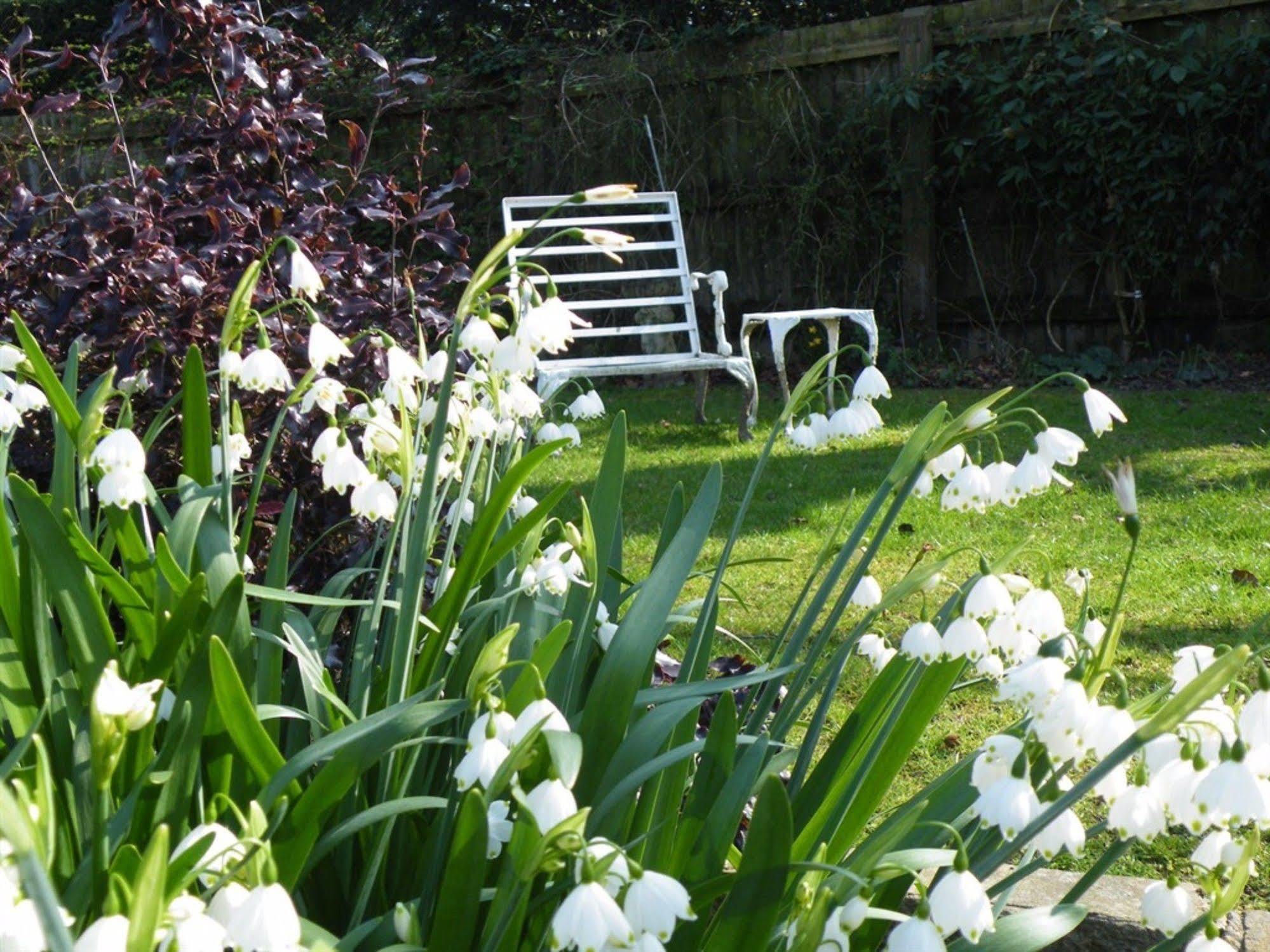 Bed and Breakfast Broadlands Gate Brockenhurst Zewnętrze zdjęcie